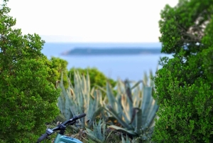 Discover Lustica peninsula by e-Bike