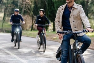 Discover Podgorica by E-bike: Culture, Hidden gems & Rivers