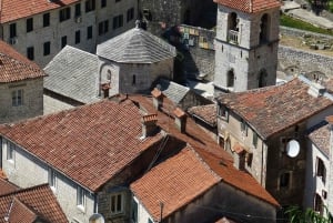 Dive into Kotor's charm on FD Tour: Mount Lovcen cable car