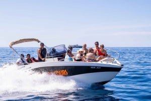 Dubrovnik: Bay of Kotor by speedboat small group tour