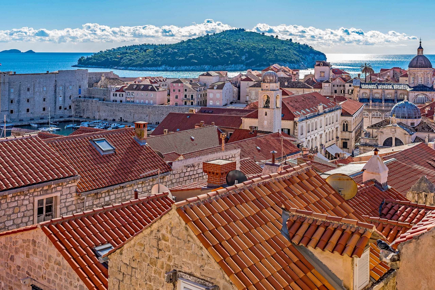From Montenegro: Dubrovnik Private Tour with Transfer