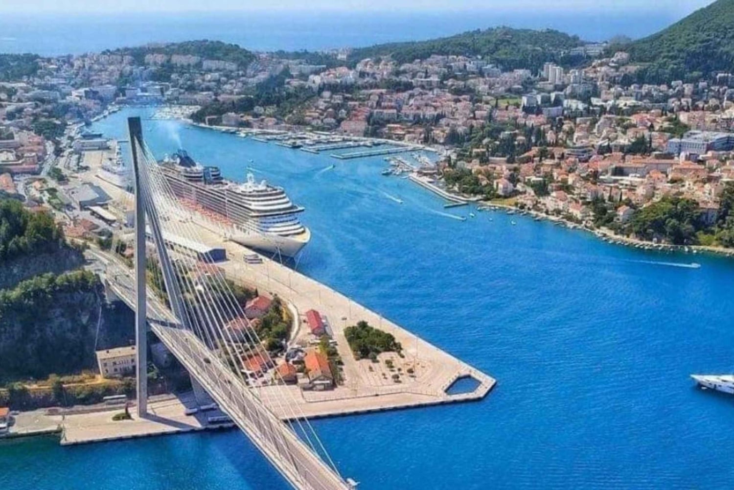 Dubrovnik Views & Trsteno Botanical Garden Experience