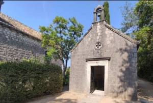 Dubrovnik Views & Trsteno Botanical Garden Experience