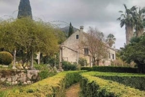 Dubrovnik Views & Trsteno Botanical Garden Experience
