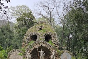 Dubrovnik Views & Trsteno Botanical Garden Experience