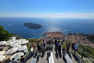 Dubrovnik Views & Trsteno Botanical Garden Experience
