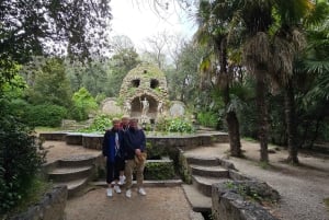 Dubrovnik Views & Trsteno Botanical Garden Experience