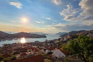 Dubrovnik Views & Trsteno Botanical Garden Experience