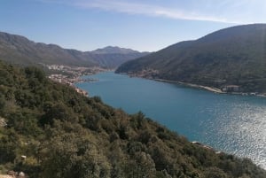 Dubrovnik Views & Trsteno Botanical Garden Experience