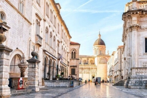 Dubrovnik walking tour from Tivat