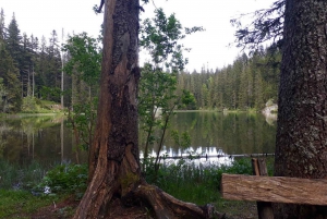 From Žabljak: Durmitor National Park Private Hiking Tour