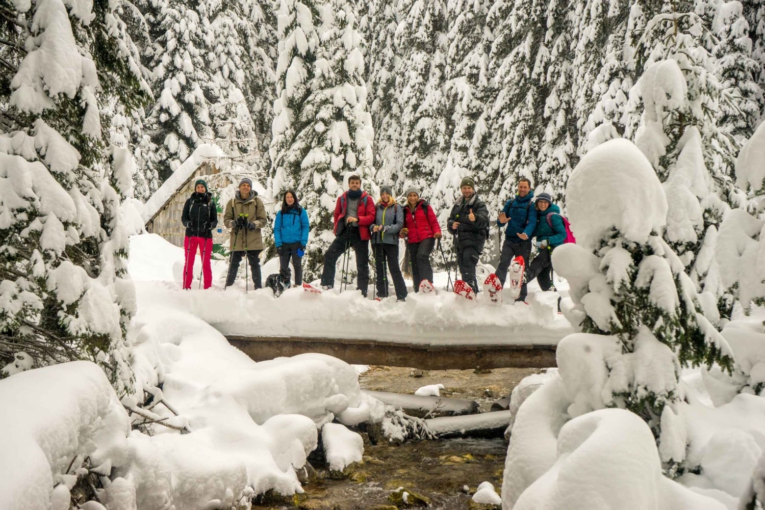 Durmitor National Park: Snowshoe Tour Black & Zminje Lake