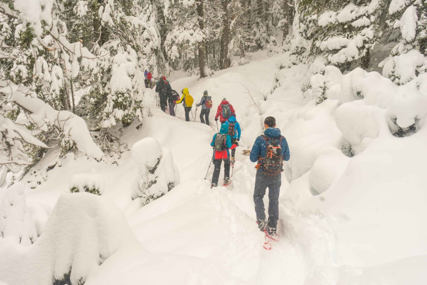 Durmitor National Park: Snowshoe Tour Black & Zminje Lake