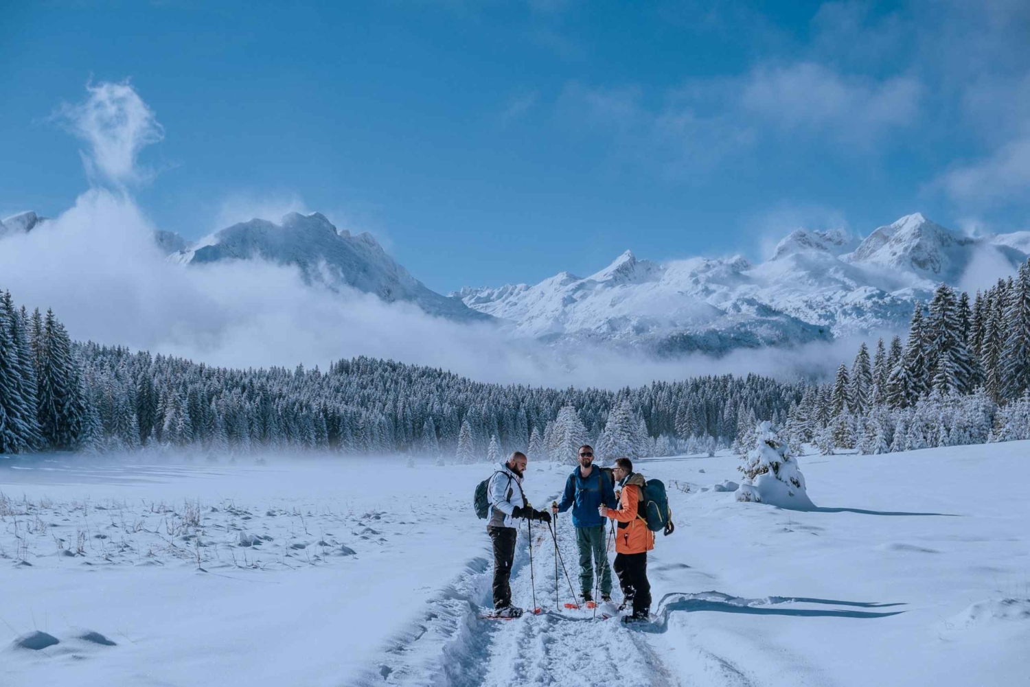 Durmitor National Park: Snowshoe Tour Black & Zminje Lake