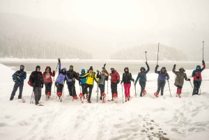 Durmitor National Park: Snowshoe Tour Black & Zminje Lake