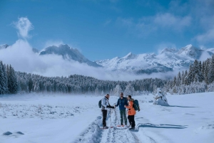 Durmitor National Park: Snowshoe Tour Black & Zminje Lake