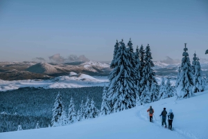Durmitor National Park: Snowshoe Tour Black & Zminje Lake