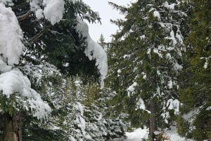 Durmitor National Park: Snowshoeing Hike to Base Camp