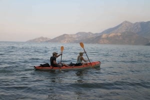 Experience the beauty of Skadar Lake in just 1h!