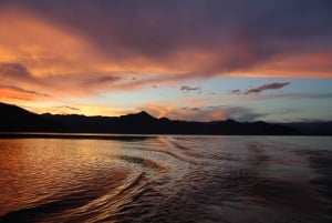 Experience the beauty of Skadar Lake in just 1h!