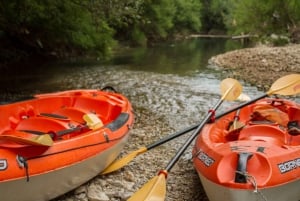 Experience the beauty of Skadar Lake in just 1h!