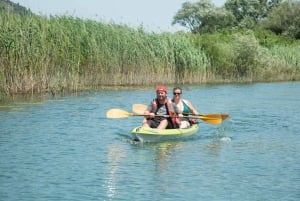 Experience the beauty of Skadar Lake in just 1h!