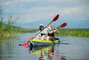 Experience the beauty of Skadar Lake in just 1h!