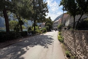 Explore Kotor: Old Town Walk & Bay Coast Bike Tour