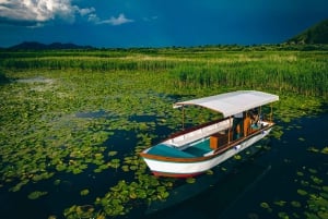 Explore Skadar Lake: Exclusive Guided Boat Falcon Tour!