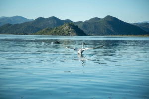 Virpazar: Lake Skadar Sightseeing Cruise