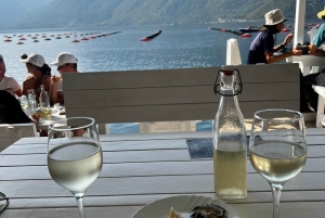 Farm Oysters and Mussels ( Perast and Lady of the rocks )