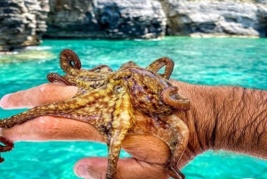 Fishing and Octopus Hunting Private Tour