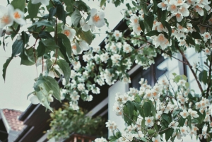 From Athens: 14-Day Balkans Tour to Sarajevo or Belgrade