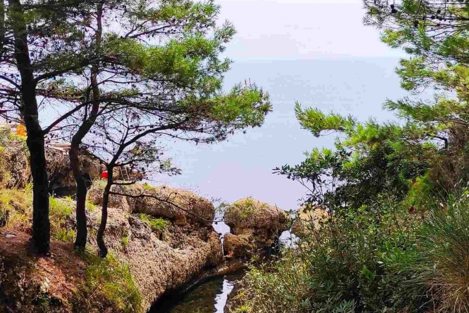 From Bar: Miracle of Nature - A healing Beach for Women