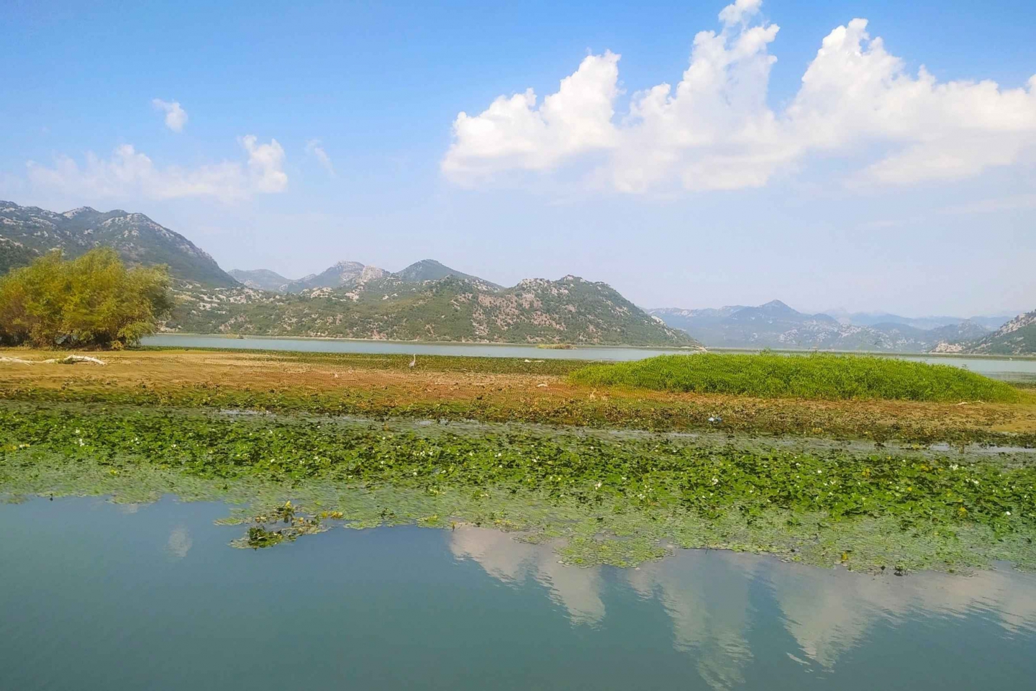 From Bar: Skadar Lake Land and Boat Tour