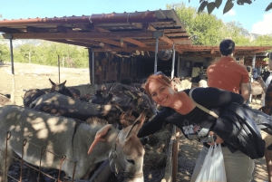 From Bar: Tour of Donkey Farm