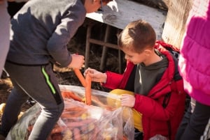 From Bar: Tour of Donkey Farm