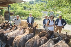 From Bar: Tour of Donkey Farm