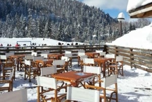 From Budva: Kolasin Ski & Winter Adventure Day Trip