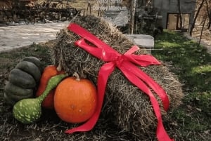 From Budva: Tour of Donkey Farm