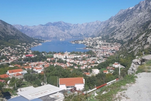 From Dubrovnik: Kotor, Perast & Budva Small-Group Day Trip