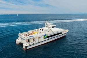 Budva to/from Dubrovnik: Day Trip or One-Way by Fast Ferry