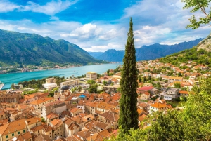 From Dubrovnik: Guided Day Trip to Bay of Kotor