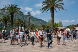 From Dubrovnik: Guided Day Trip to Bay of Kotor
