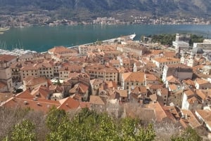 Dubrovnik: Private Tour to Montenegro, Kotor, and Perast