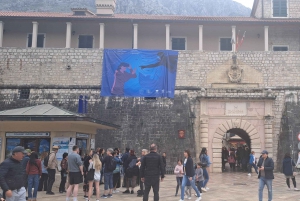 From Dubrovnik: Montenegro Full-Day Tour