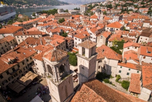 From Dubrovnik: Montenegro, Lady of the Rocks and Kotor