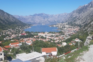 From Dubrovnik: Perast, Kotor & Budva Small-Group Day Trip