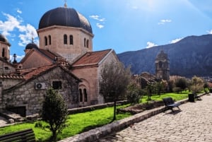 From Dubrovnik: Private Day Tour to Montenegro