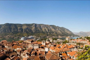 From Dubrovnik: Private Full-Day Trip to Montenegrin Towns